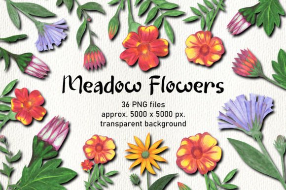 Download Hand Drawn Flower Clipart Sublimation - Hand drawn flower clipart Collection